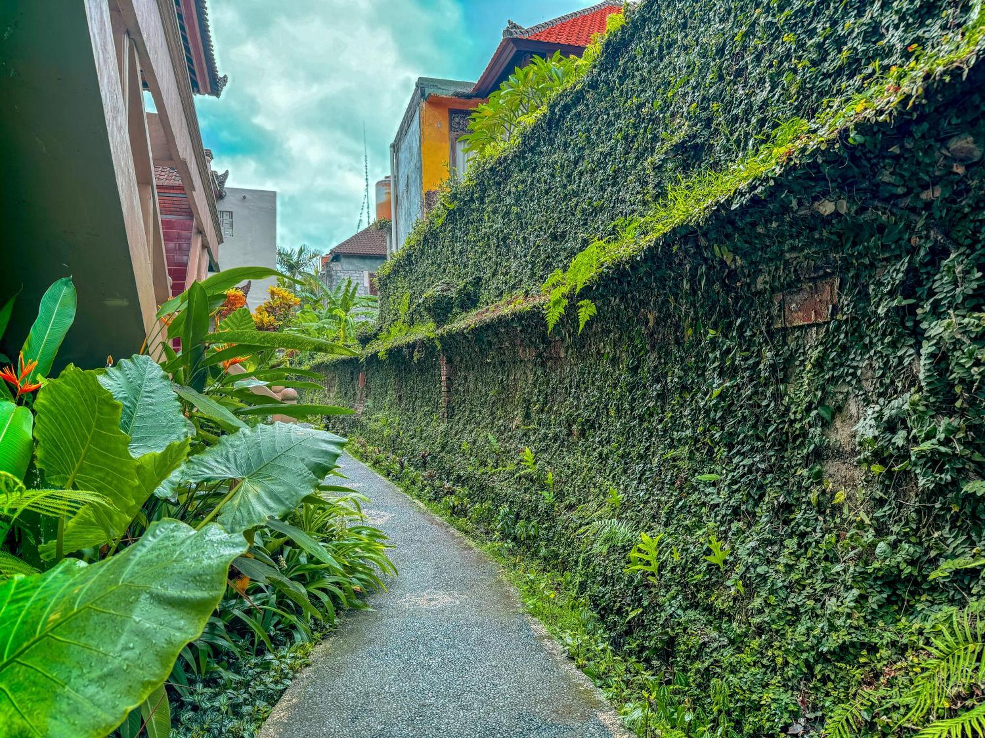 Garden View Maison d'hôtes Ubud